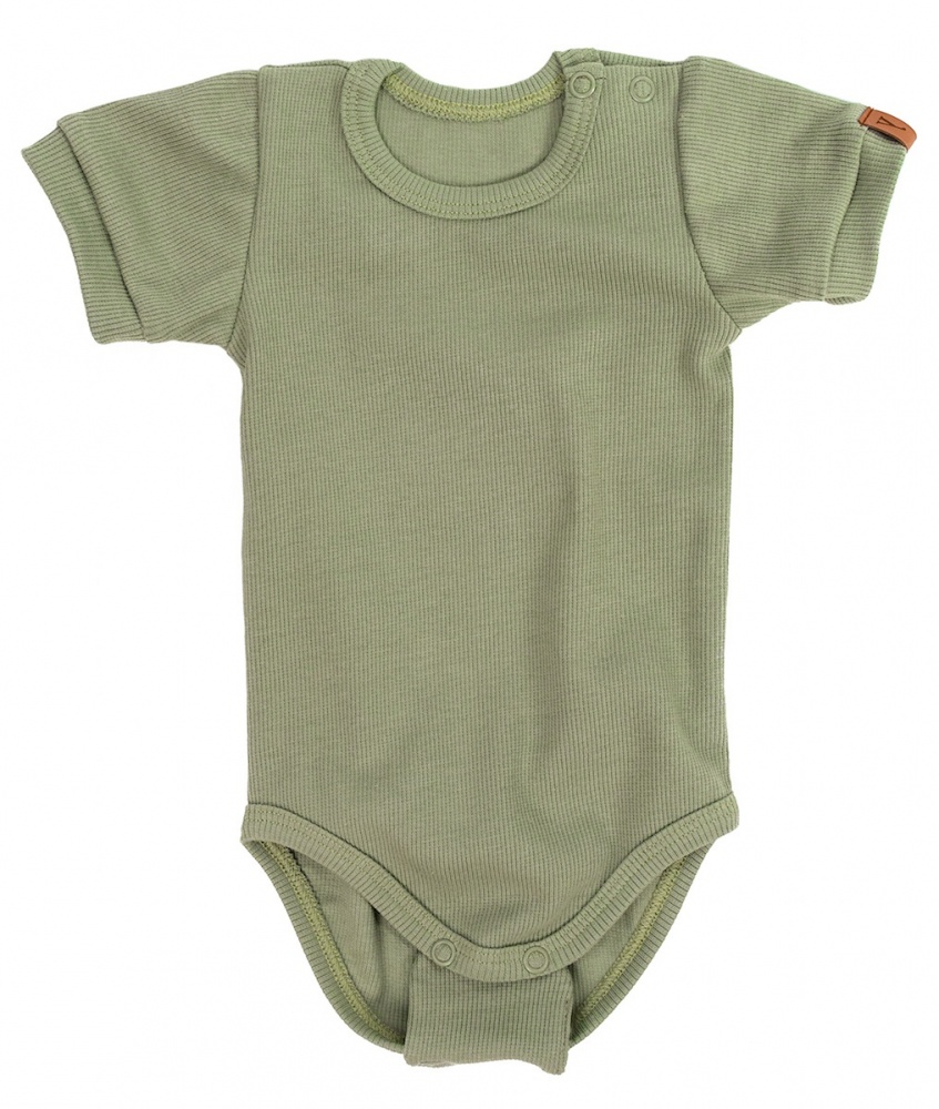 Short-sleeve body color: olive